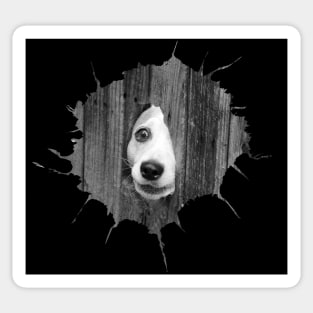 Dog in hole Jack Russell Terrier Sticker